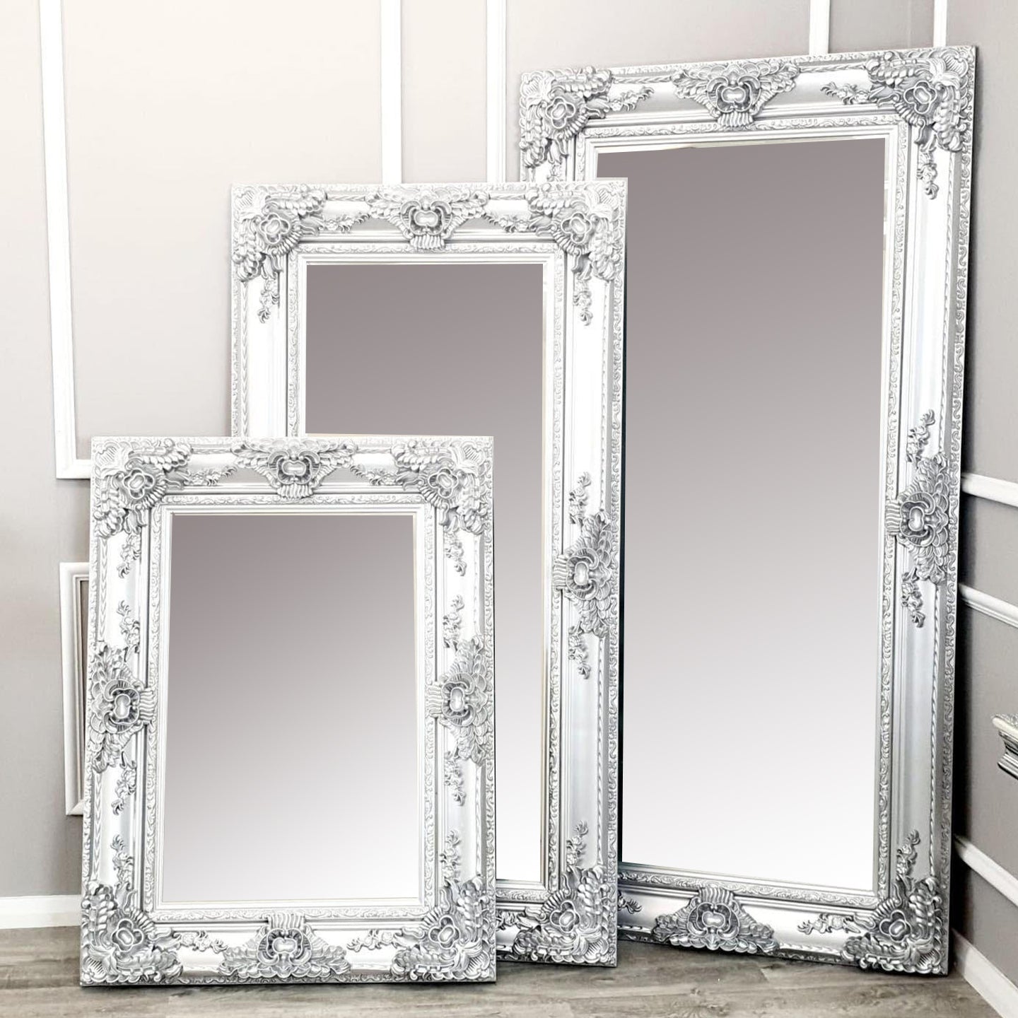 Roma Bevel Mirror in Silver - ALL SIZES